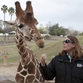 321-0032 Safari Park - Giraffe with Vicky.jpg